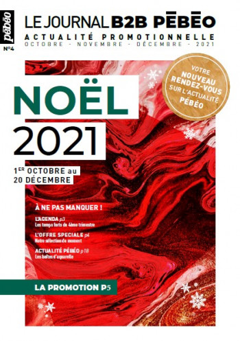 Noël 2021 - France